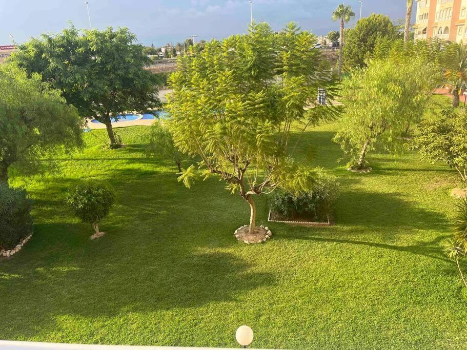 Ferienwohnung Casa Di Mateo With Garden View And Swimming Pool Torrevieja Exterior foto