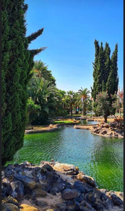 Ferienwohnung Casa Di Mateo With Garden View And Swimming Pool Torrevieja Exterior foto